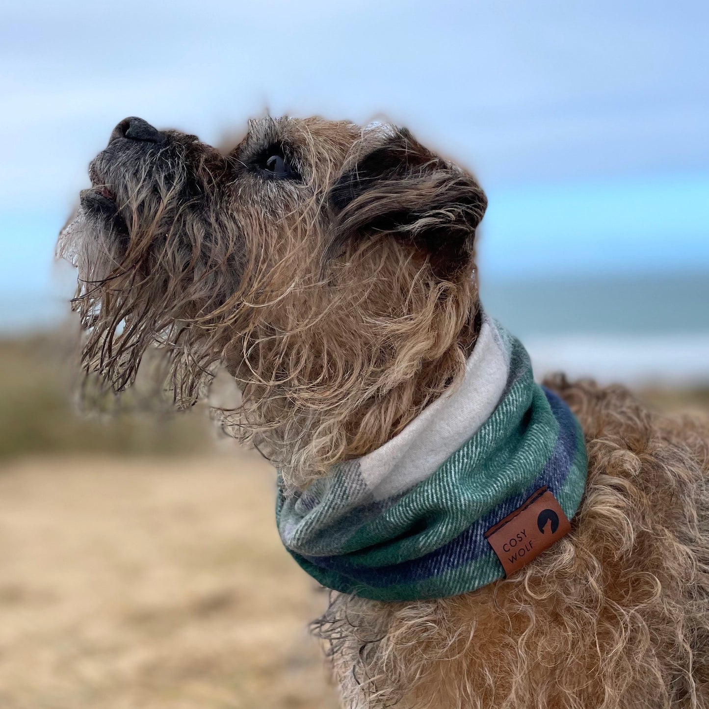 The Moss Scarf