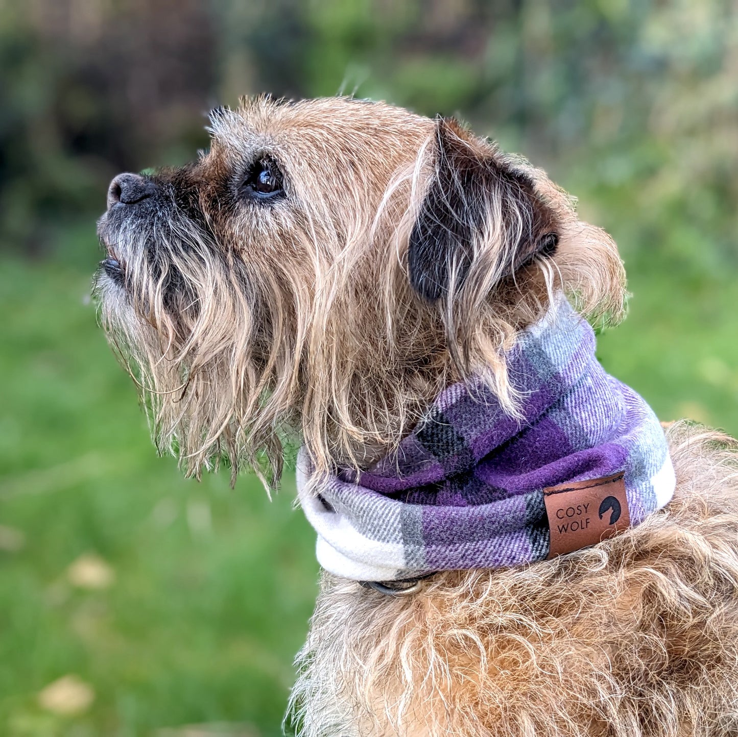 The Bramble Scarf