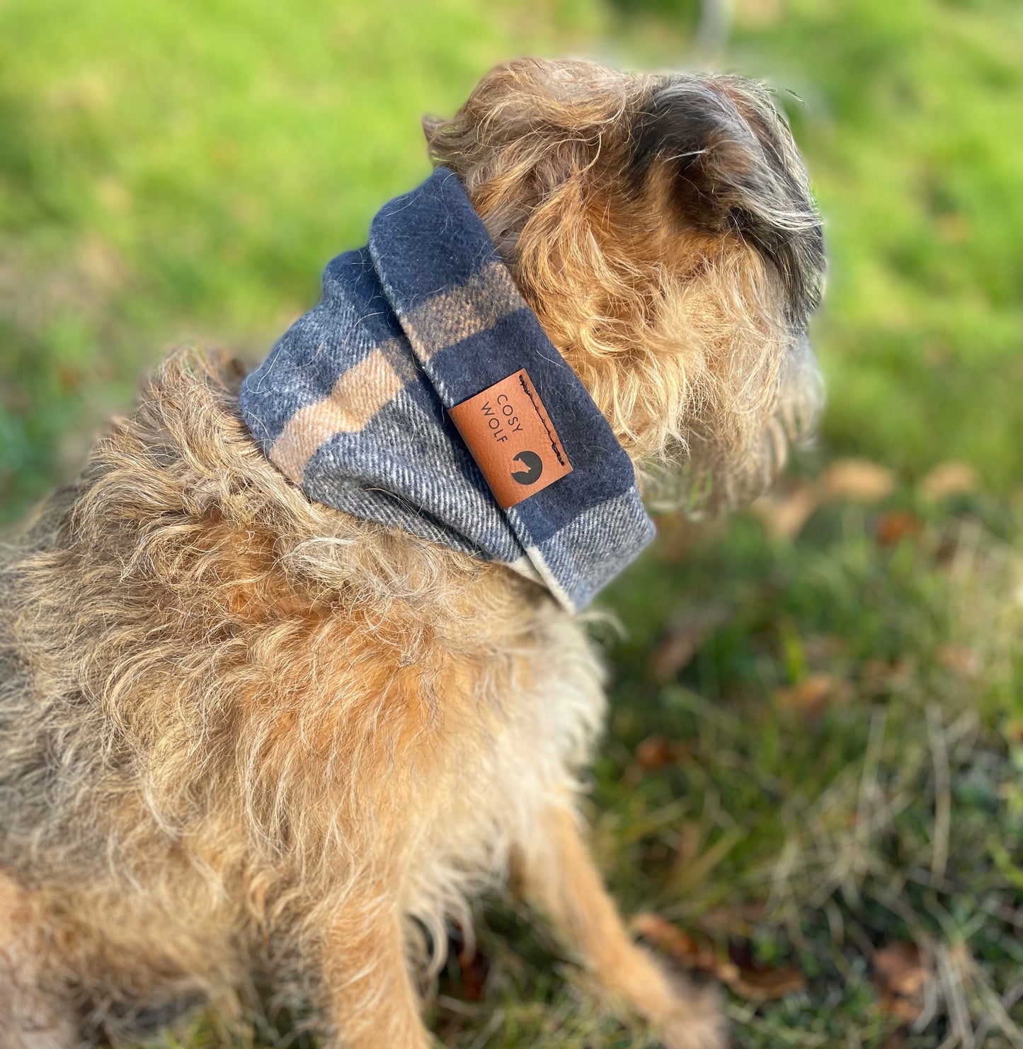 The Rowan Scarf